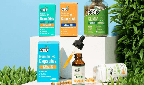 What are the CBD businesses that can earn profit in 2021?