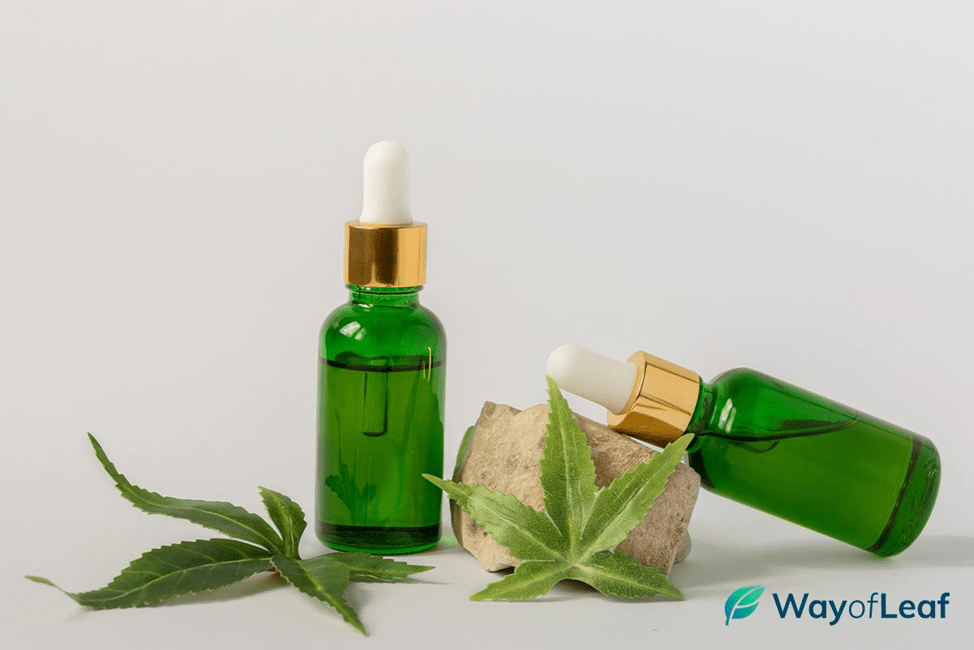 What Is CBD, and How Can It Be Used? | Understanding the Different Types of CBD